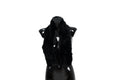 Beautiful Handmade Rex rabbit Real Fur Scarf (120x13 cm)